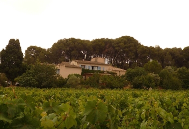 Domaine viticole  proche de la mer sur l'appellation Piquepoul de Pinet 