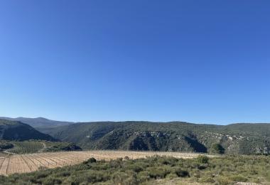 Vue domaine viticole languedoc hérault