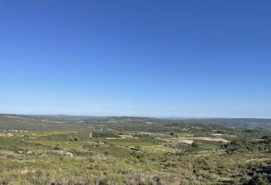 Vue domaine viticole Languedoc Hérault