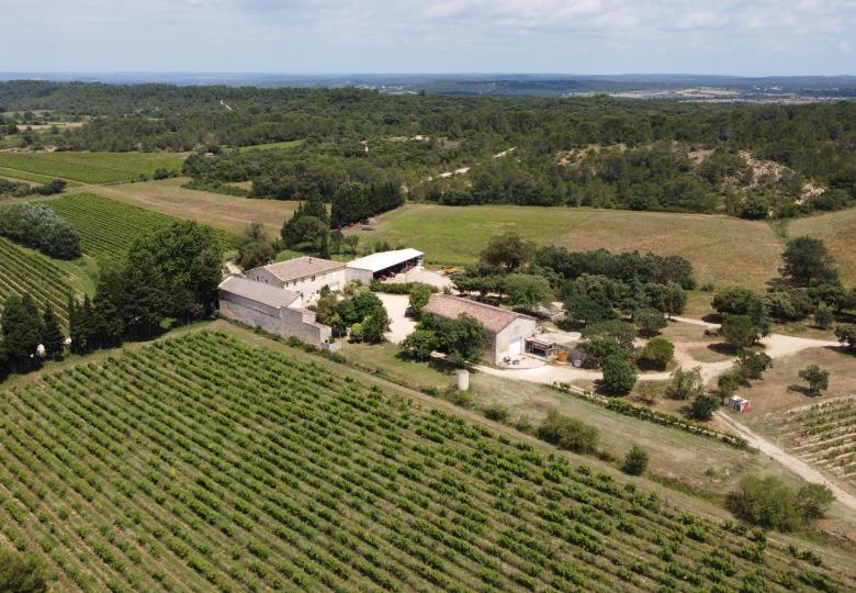 domaine viticole languedoc biodynamie