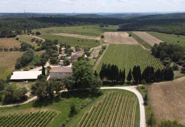 domaine viticole languedoc biodynamie