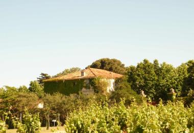 Bâtiment domaine gite languedoc à vendre 3