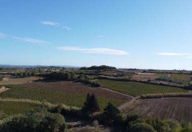 Campagne domaine gite languedoc à vendre