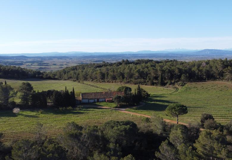 Vue domaine viticole languedoc hérault