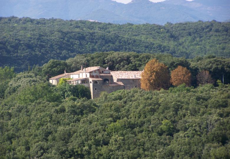 Vue domaine viticole languedoc hérault