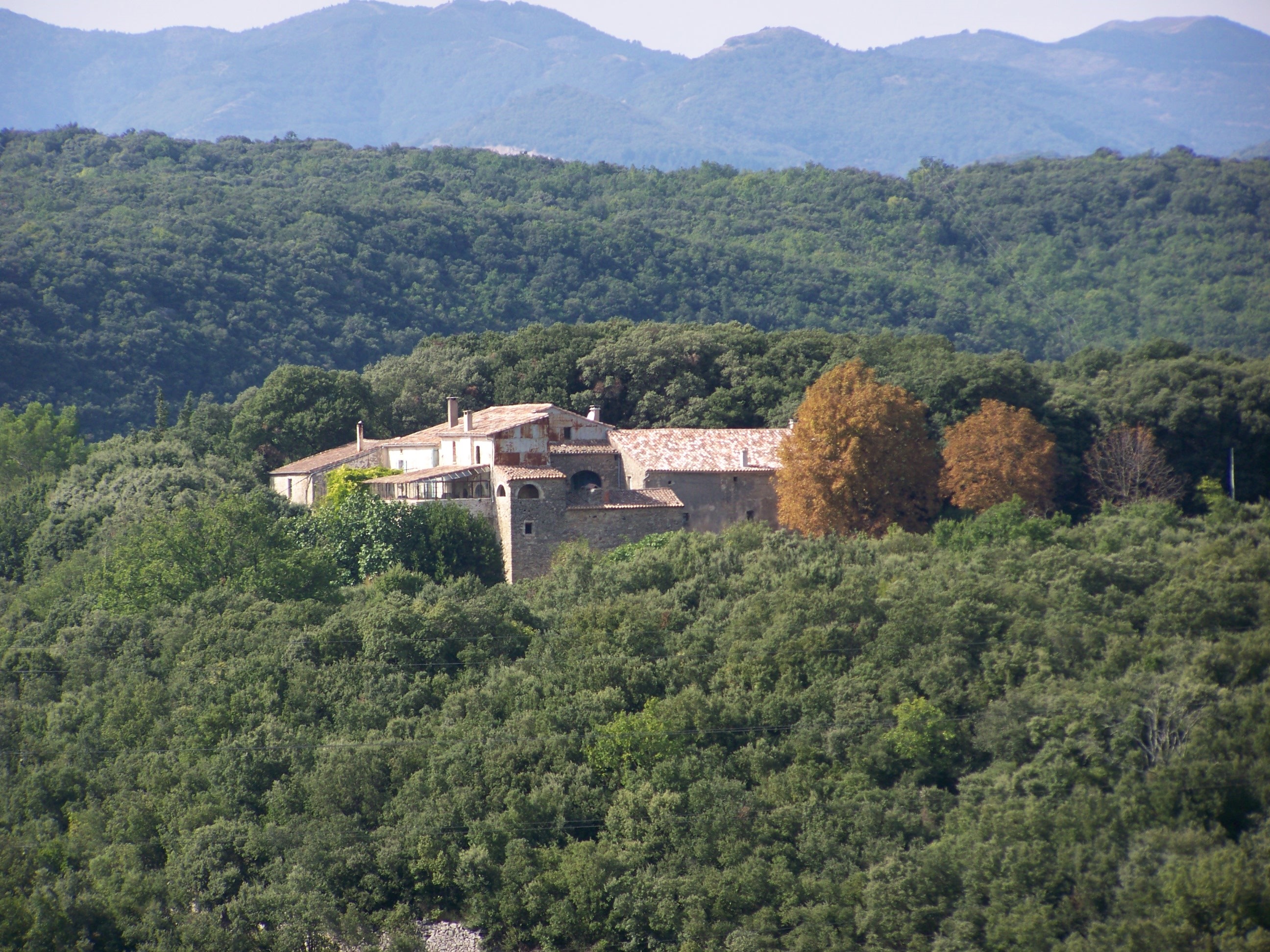 Vue domaine viticole languedoc hérault