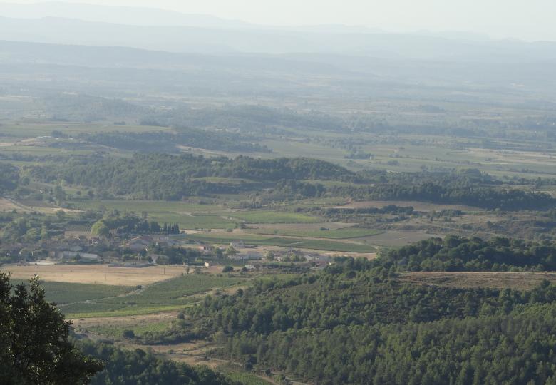 vue panoramique vente domaine viticole Languedoc