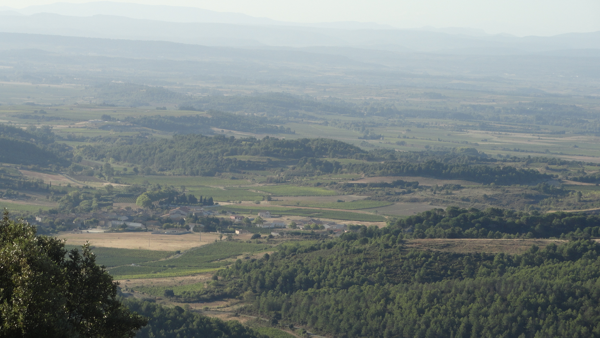 vue panoramique vente domaine viticole Languedoc