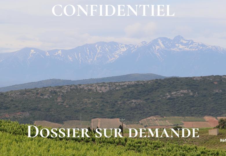 Canigou domaine viticole à vendre 63 ha Roussillon