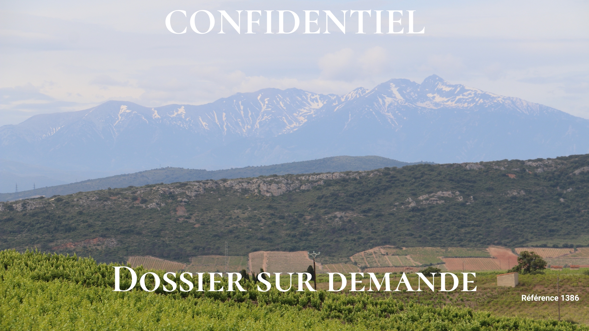 Canigou domaine viticole à vendre 63 ha Roussillon