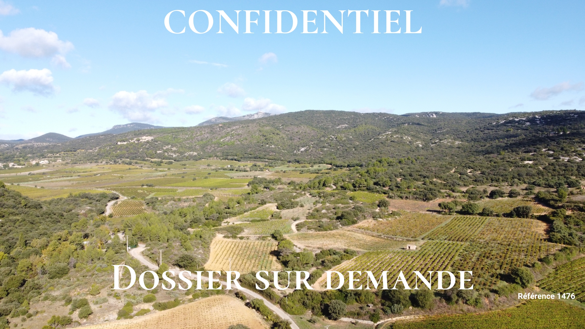 Vignes domaine viticole à vendre en AOP terrasses du larzac