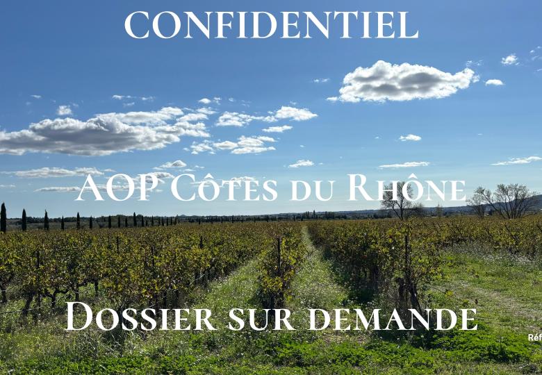 vignes domaine viticole bio cotes du rhone à vendre