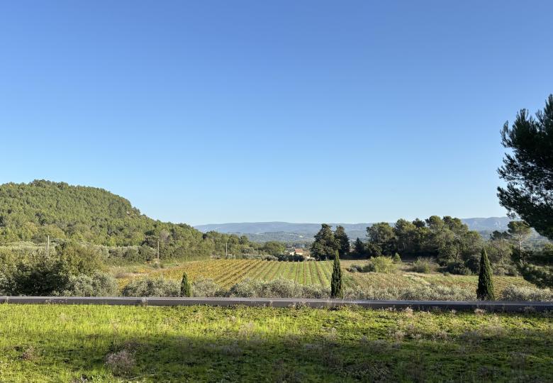 vignes domaine viticole en aop ventoux à vendre