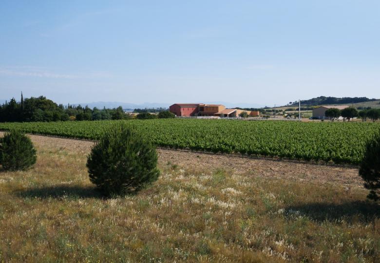 Bâtiment du Domaine Viticole Bio Cotes du Roussillon