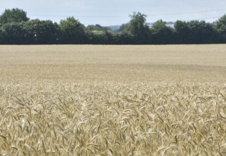 Vente propriété agricole irrigable Aude 