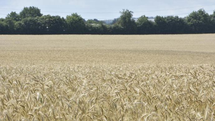 Vente propriété agricole irrigable Aude 