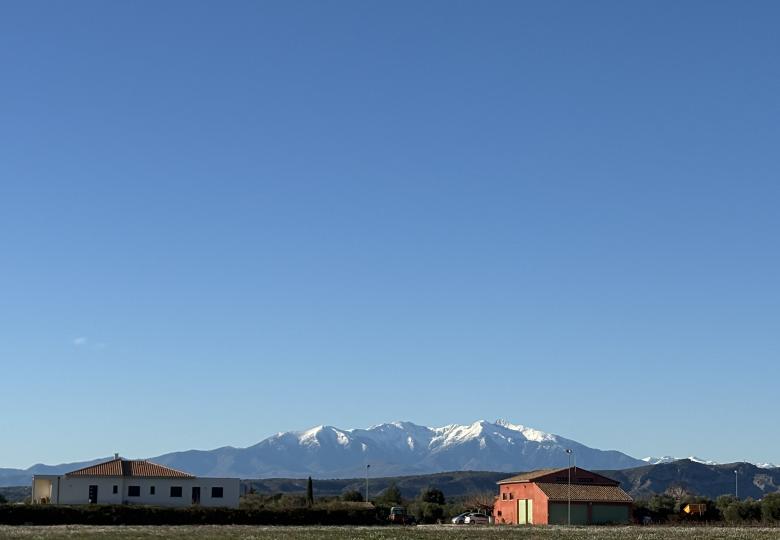 Achat domaine viticole bio Pyrénées Orientales