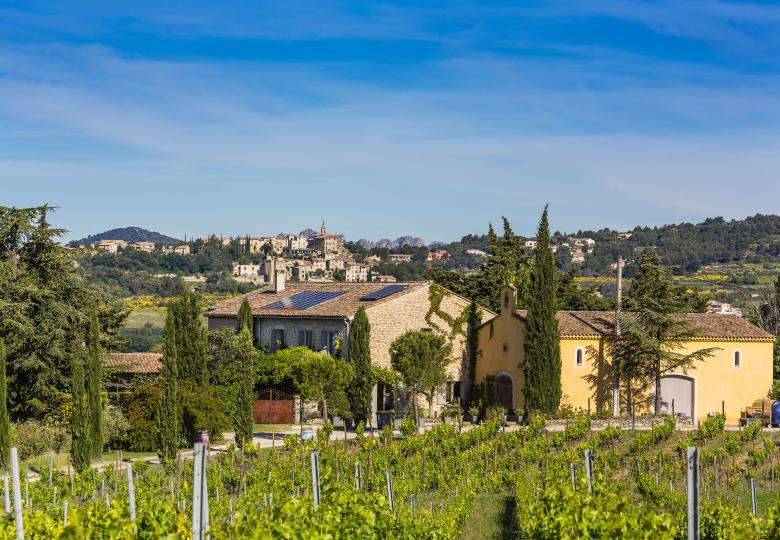 Domaine viticole en AOP Ventoux dans le Vaucluse a vendre