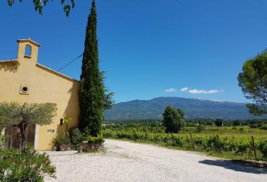 Domaine viticole en AOP Ventoux dans le Vaucluse Ventoux