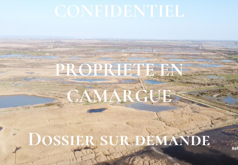 Propriété à vendre Camargue