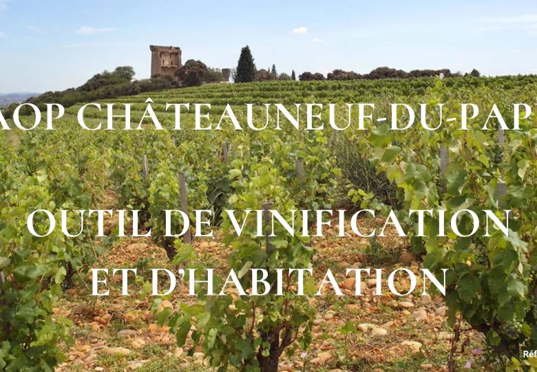 Propriété Châteauneuf-du-Pape à vendre