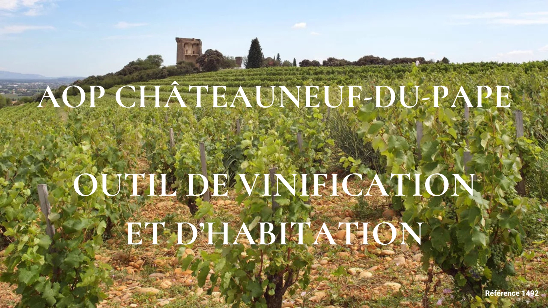 Propriété Châteauneuf-du-Pape à vendre