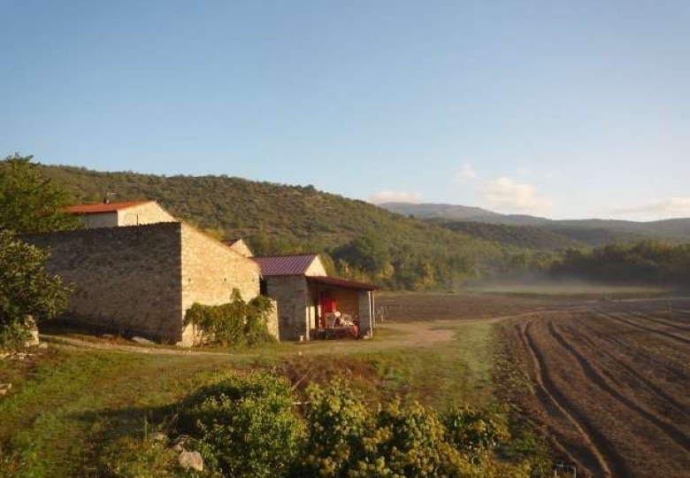 MAS SUR 6 HECTARES DE BONNE TERRE 