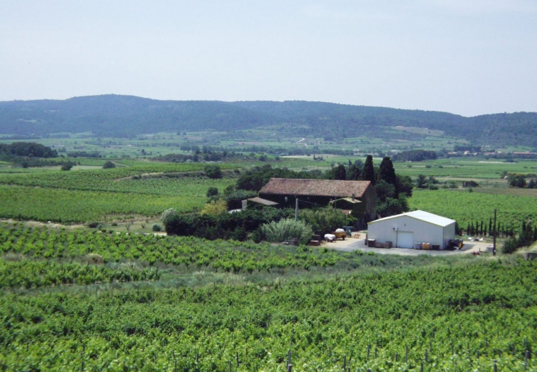 BIO DOMAINE VITICOLE EN AOP MINERVOIS de 27 ha 