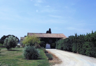 BIO DOMAINE VITICOLE EN AOP MINERVOIS de 27 ha 