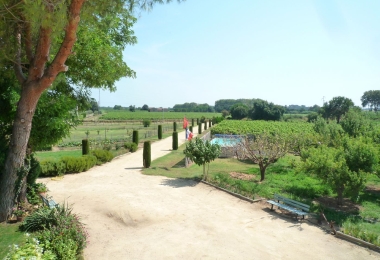 Jardin de la propriété viticole à vendre dans l#qHérault