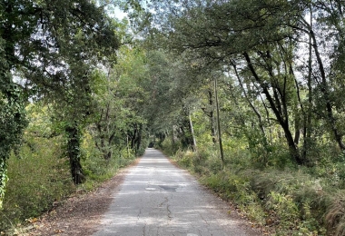 Allée extéieure menant vers les gîtes du domaine de chasse