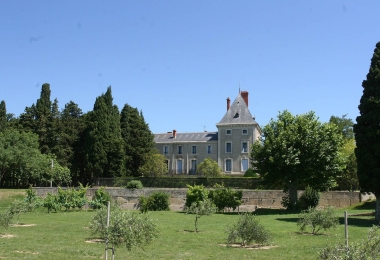 Château à vendre dans l#qHérault