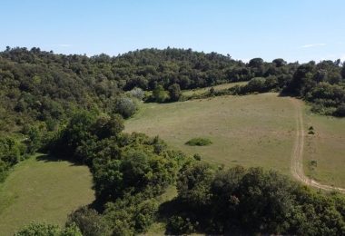 Les alentours des propriétés forestières