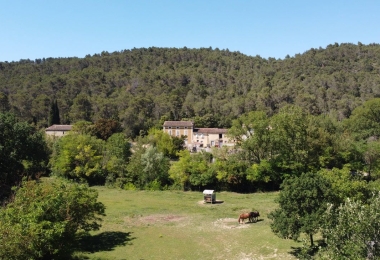 Vue aérienne des propriétés forestières