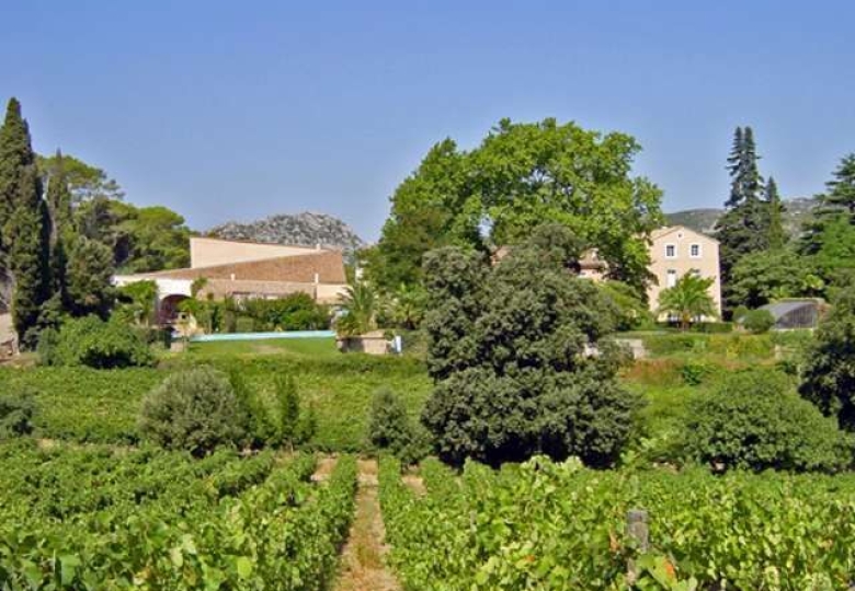 Domaine viticole en Languedoc Roussillon 