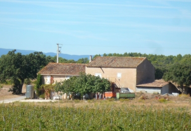 Mas à Rénover et maison d#qhabitation, domaine viticole dans l#qAude