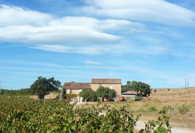 Vu des bâtiments depuis les vignes du domaine viticole.