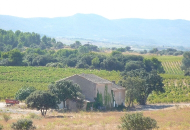 Vu sur l#qarrière des bâtiments et les vignes du domaine