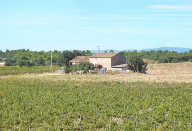 Vue du domaine viticole dans l#qAude depuis les vignes