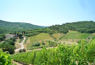 Propriété au coeur de la nature