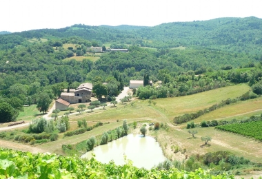 Vignoble situé autour d#qun petit lac