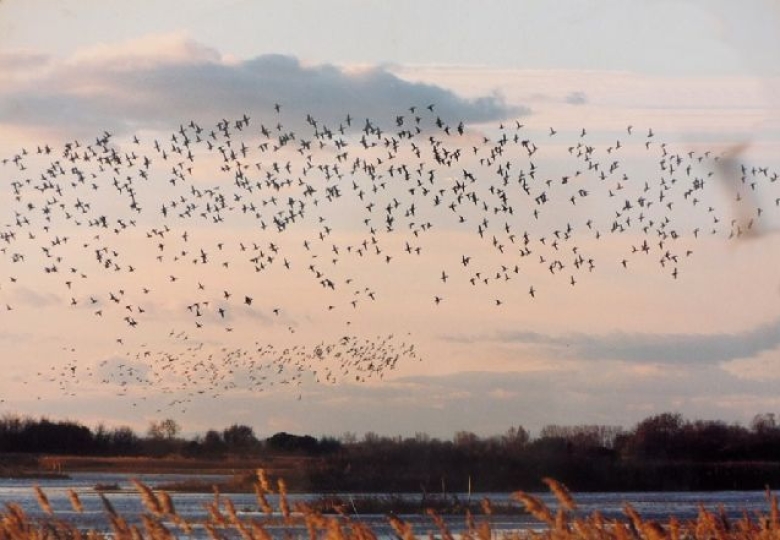 PROPRIÉTÉ MYTHIQUE EN CAMARGUE 