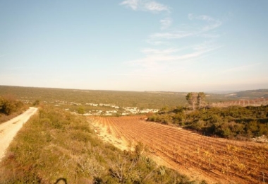 34, Hérault, Languedoc, Vignoble, AOP Minervois 20 Ha 95 avec Cave de Vinification 