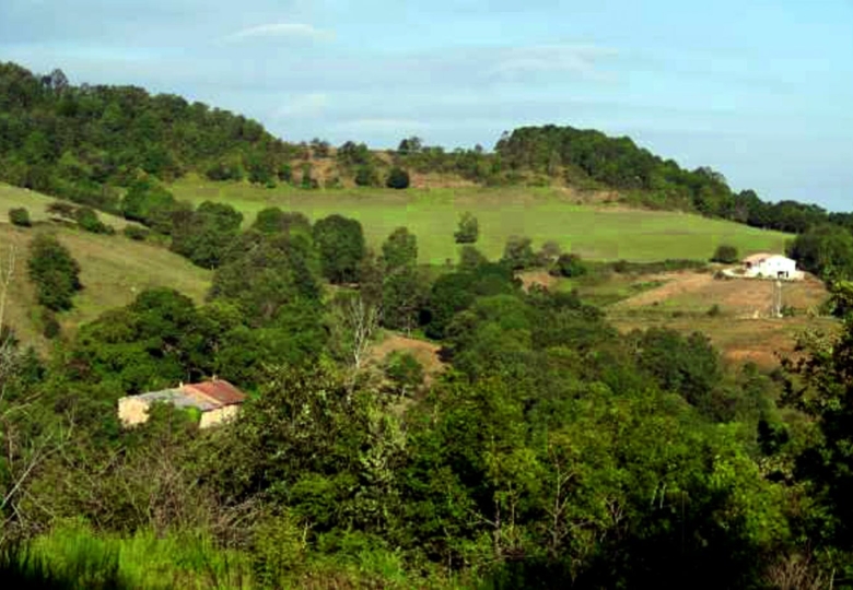 Vue sur la propriété de 107 hectares à vendre