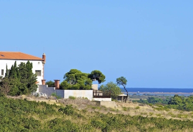 La propriété viticole domine la méditerranée