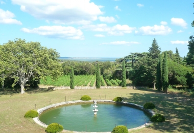 Le parc du domaine viticole à vendre en Languedoc